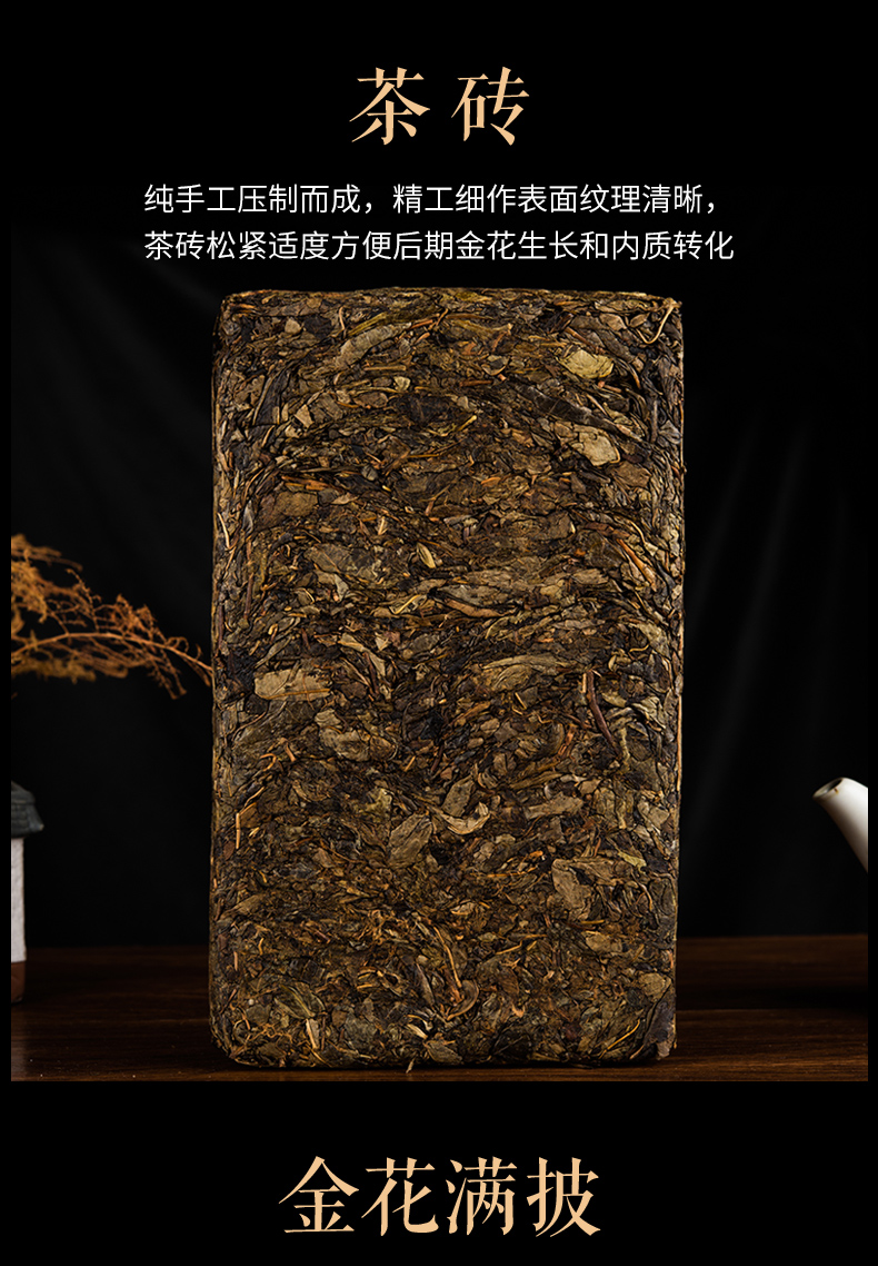 0927ܽɽ_05.jpg